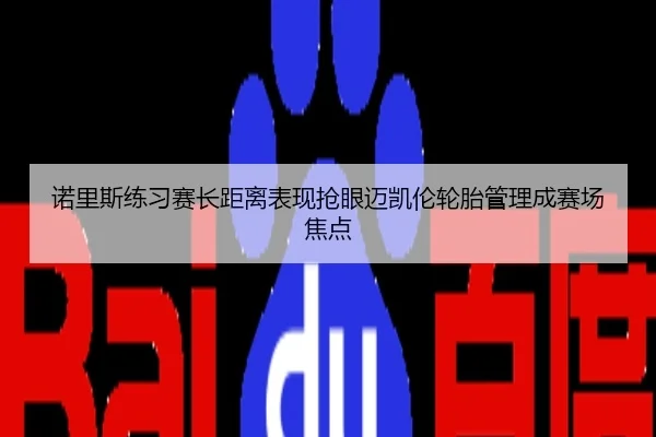 诺里斯练习赛长距离表现抢眼迈凯伦轮胎管理成赛场焦点